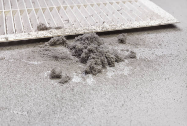 Best HVAC System Cleaning  in Port Barrington, IL