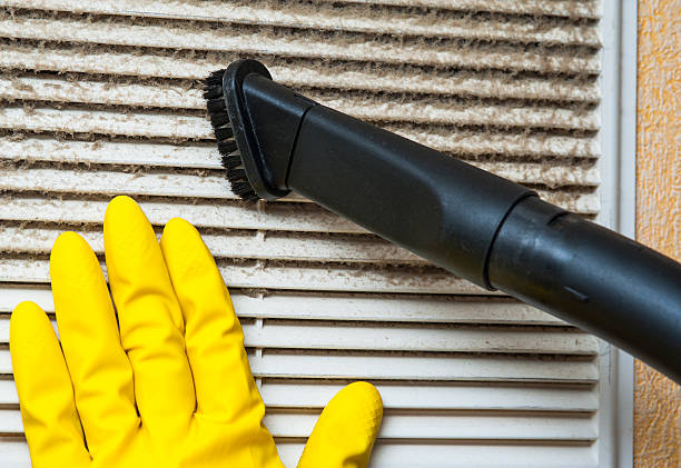 Best Local Air Duct Cleaning Services  in Port Barrington, IL